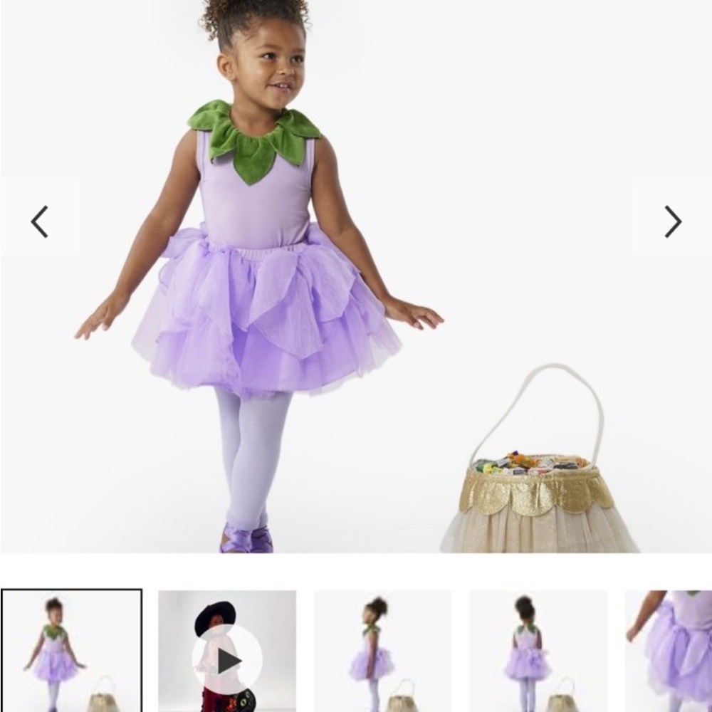 Pottery Barn Kids Lavender Fairy Costume